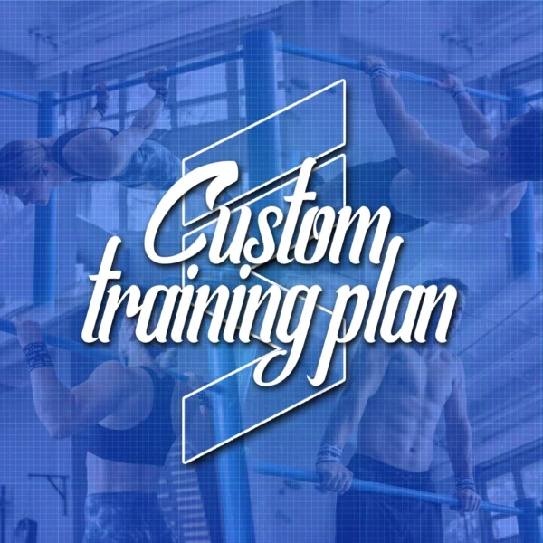 Custom training plan